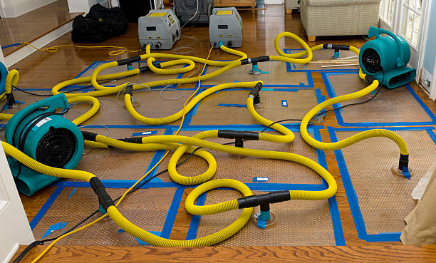 Professional Burst Pipe Water Damage technician working in Elysian, MN